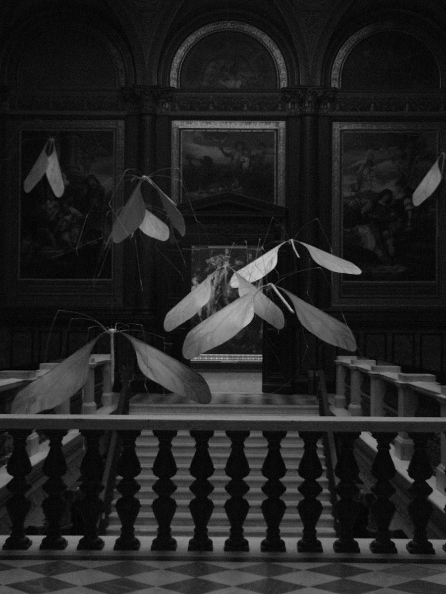 013 Cesta na sever   Dansko